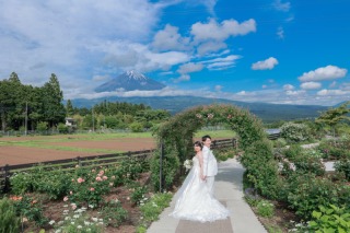 富士撮影　お花畑ver.