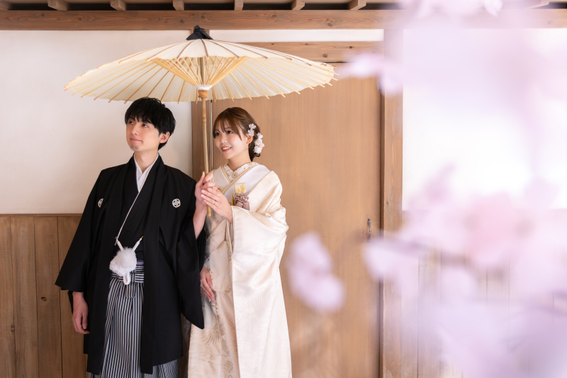 桜：屋内庭園スタジオ