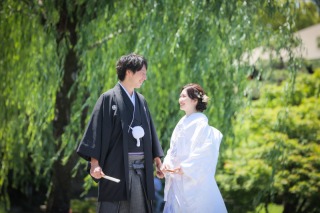 グリーンたくさんの背景で