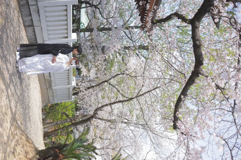 一足先の桜ロケーション