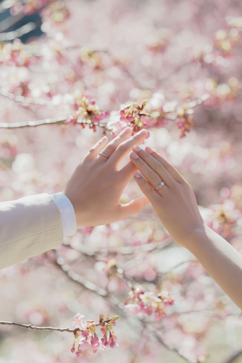 河津 桜ロケーション