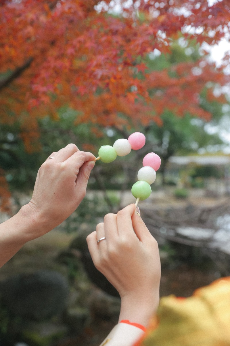 秋ロケーション