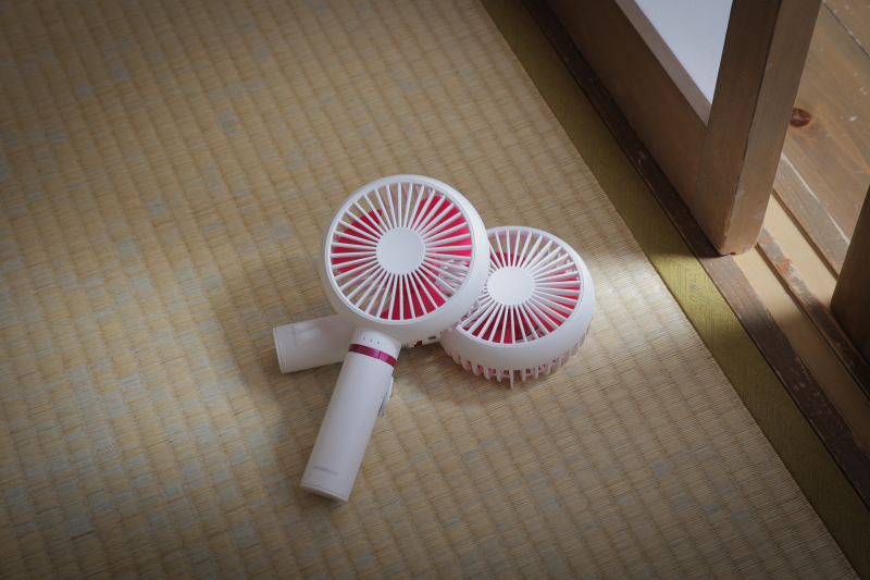 屋内庭園と洋装スタジオでのウェディングフォト