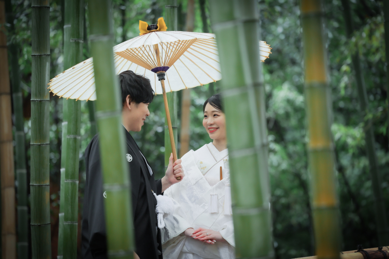 白鳥庭園撮影の魅力