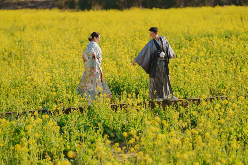 伊豆 河津桜/海/菜の花 選べるロケーション