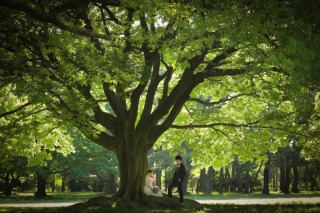 桜の散った木々たちがあたり一面を緑色へ