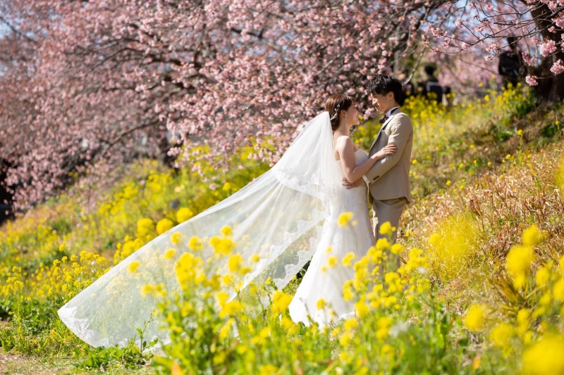 【早咲の桜】河津桜