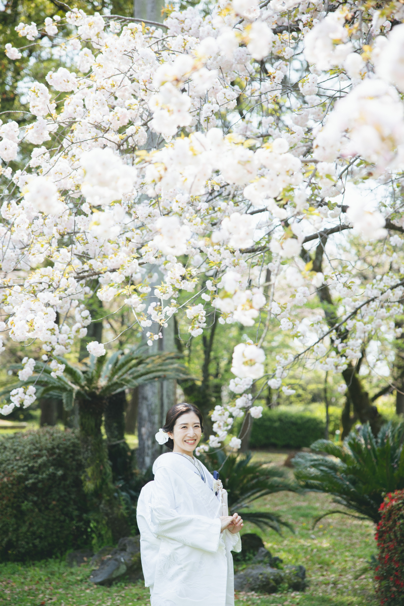 まもなく開花！！名古屋城での桜×和装ロケーション♡