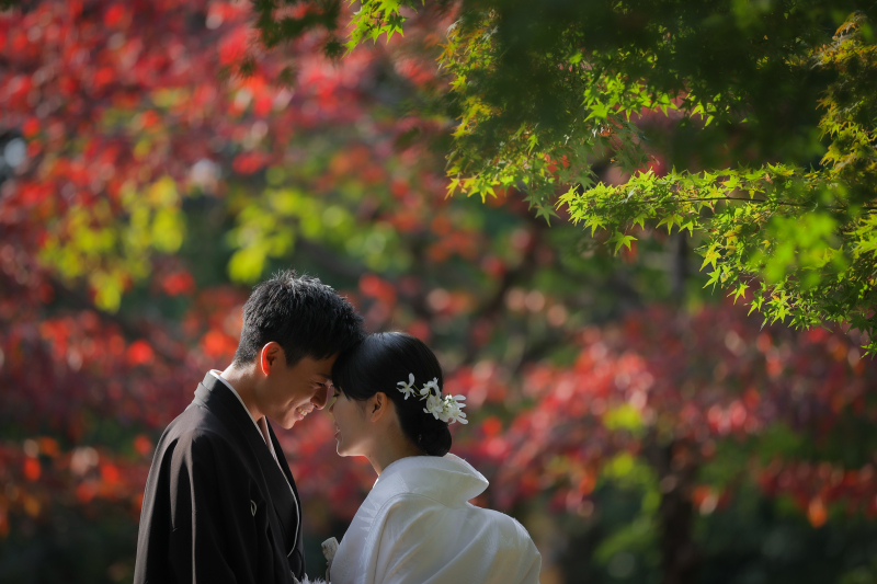 ~ 紅葉・鶴舞公園ロケーション ~