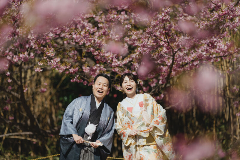 河津桜ロケーション撮影