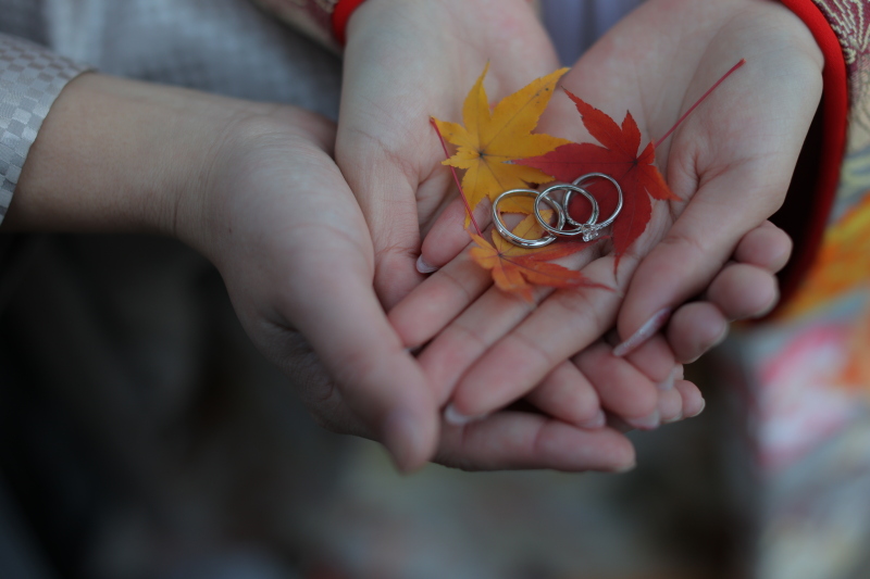 紅葉空き状況