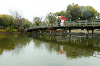 本格的な日本庭園でのロケーションフォト