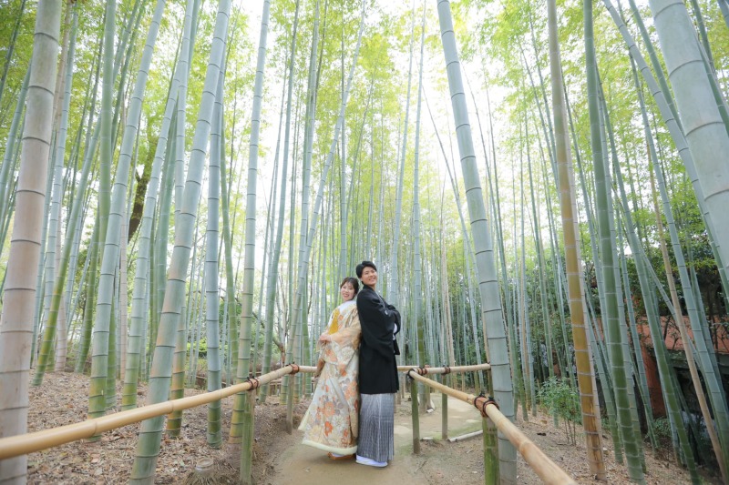 白鳥庭園