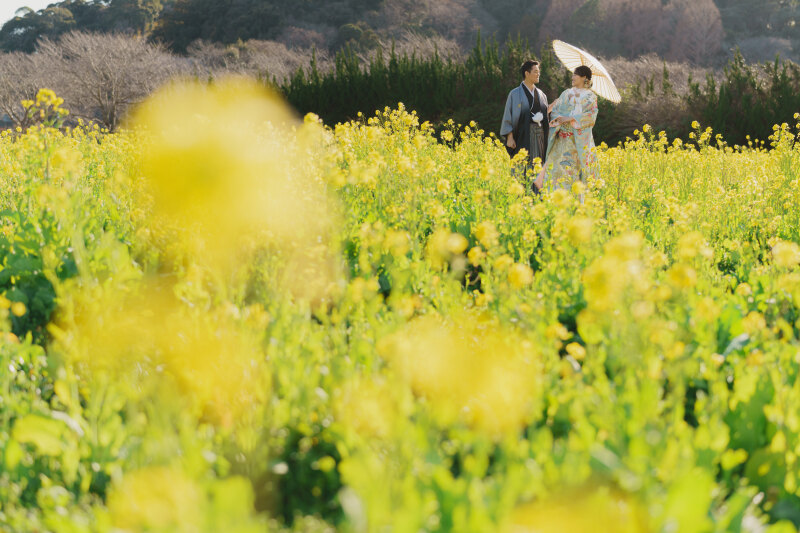 伊豆 河津桜/海/菜の花 選べるロケーション