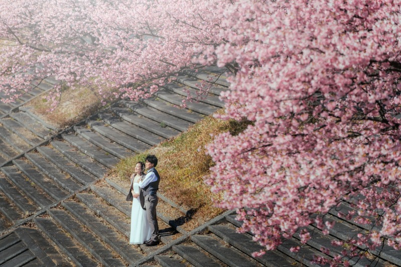 【ご予約残りわずか!!】期間限定河津桜プラン〜桜＋菜の花畑〜
