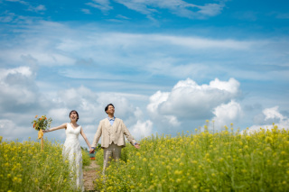【富良野】今年の夏ロケ6月7月のご紹介