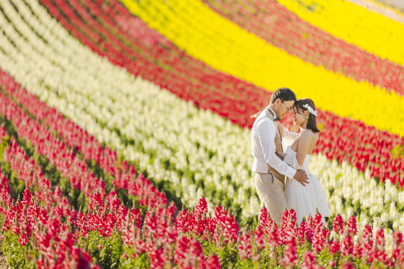 【富良野】今年の夏ロケ6月7月のご紹介
