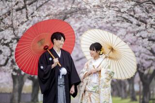 桜の撮影キャンペーンが終わりました