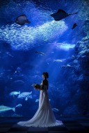 水族館のフォトウェディング