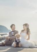 ペットと一緒にフォトウェディング