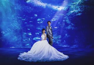 水族館のフォトウェディング