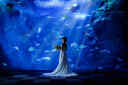 2月は水族館撮影のベストタイミング