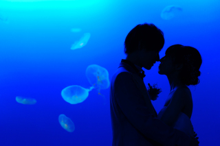 春は水族館撮影のシーズン