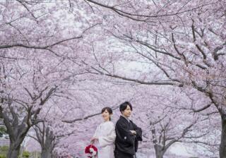 期間限定の前撮りキャンペーン