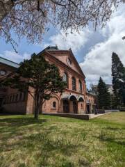 新たなるスポットを探して