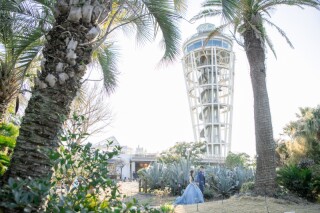 江ノ島の南国植物園