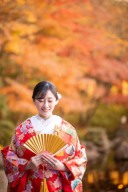 鎌倉エリアの紅葉が間もなくピークへ