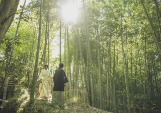 竹林の撮影をオススメしたい