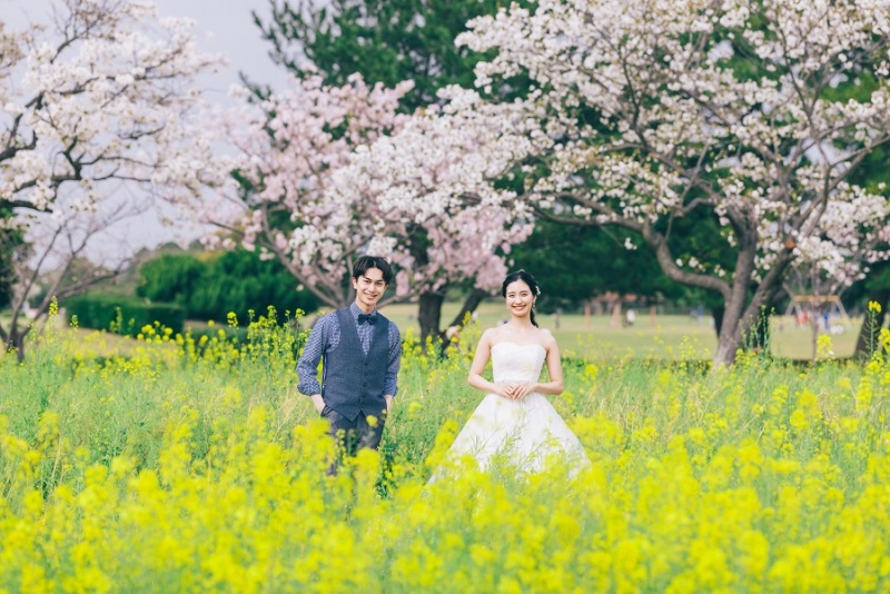 ◇桜ロケーション撮影のご案内◇