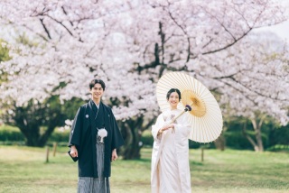 ◇桜ロケーション撮影につきまして◇