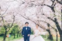 ★桜ロケーション撮影のご予約受付中★