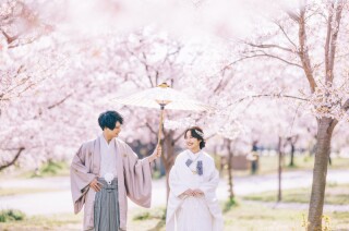 桜ロケーション撮影をお考えの方は是非♪