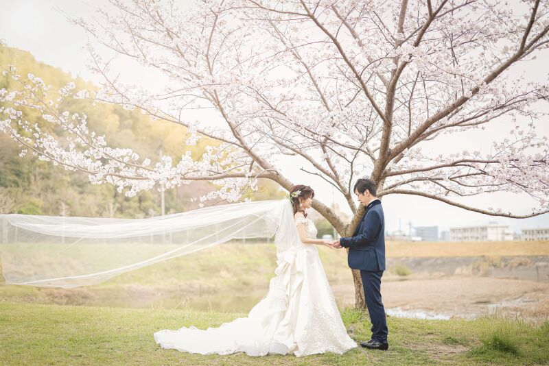桜フォトウェディング〜ドレスフォト〜