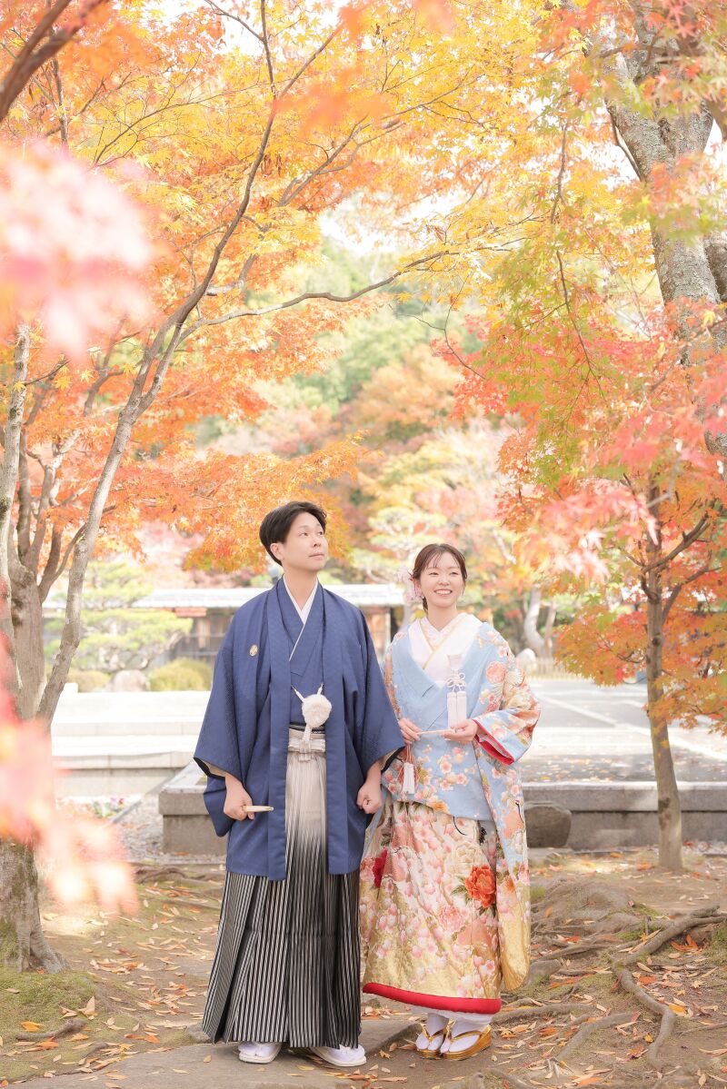 色打掛 紹介♡水色&times;桜 上品な色打掛