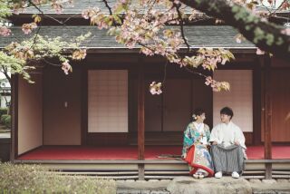 問い合わせ多数!!!早めに検討が間違いない桜フォト♡