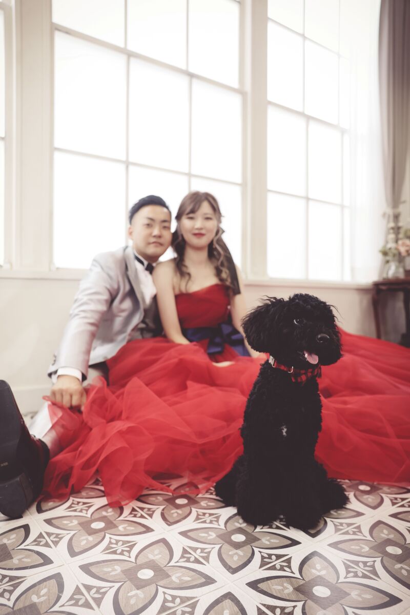 ペットフォトウェディング♡♡〜ワンちゃんvo.1〜