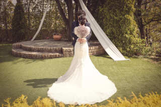 バックショット