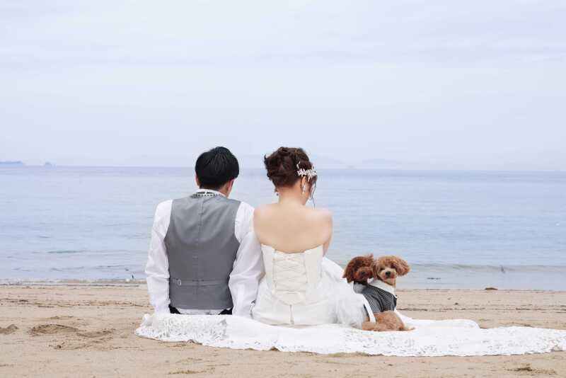 ペットフォトウェディング♡♡〜ワンちゃんvo.2〜