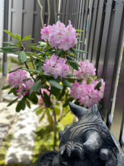 四季折々のお花で彩るフォトウェディング