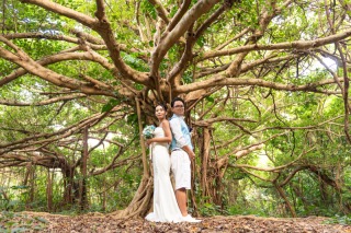 宮古島の緑豊かな撮影スポットは？