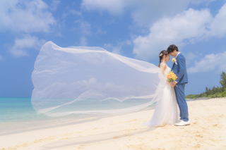 ベールを使って、幻想的な1枚を★