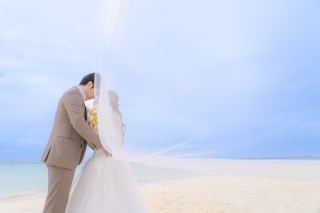 見落としがちな映像商品(｡･･｡)