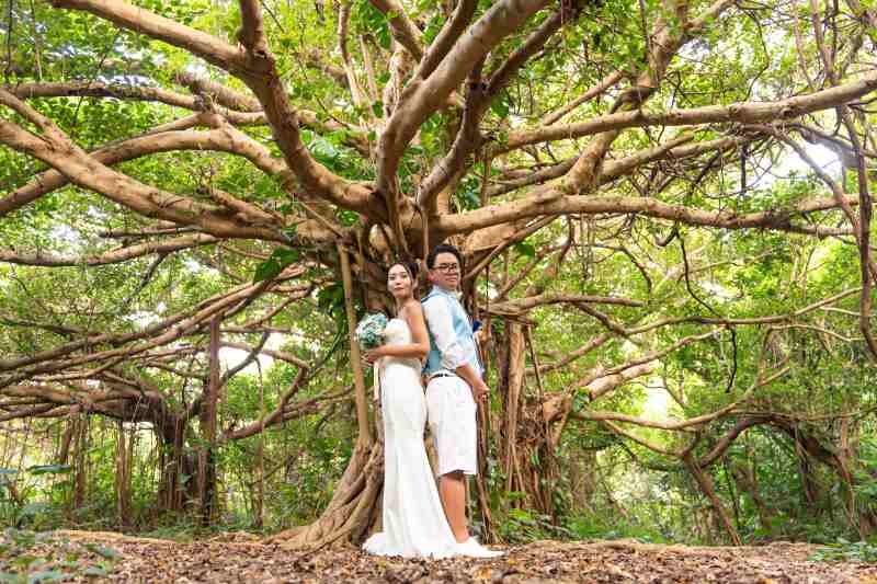 宮古島ならではのガジュマルの森や緑地エリアでのフォトウェディング