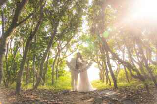 宮古島ならではのガジュマルの森や緑地エリアでのフォトウェディング