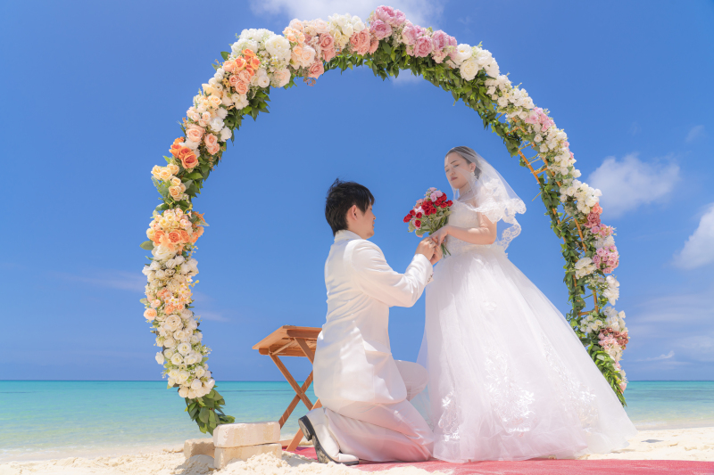先着順！お得なプランが登場ですヽ( ´∇`)ﾉ　