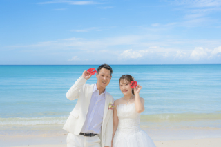 宮古島でよく見る花